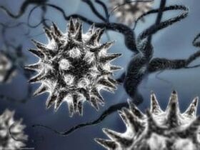Model parazitskega virusa